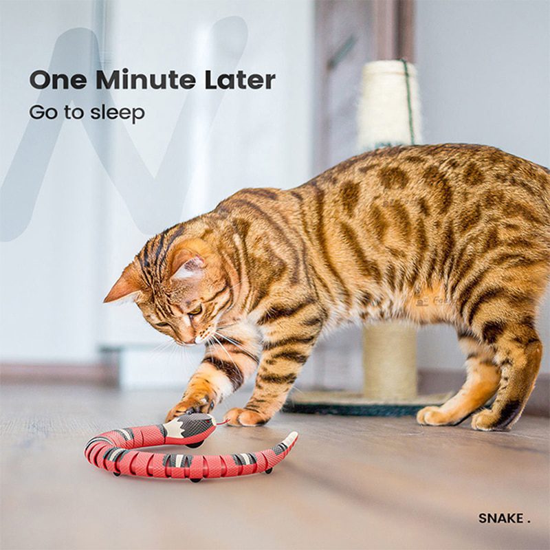 Automatic-Cat-Toys-Interactive-Smart-Sensing-Snake-TeaseToys-for-Cats-USB-Charging-Cat-Accessories-for-Pet-2