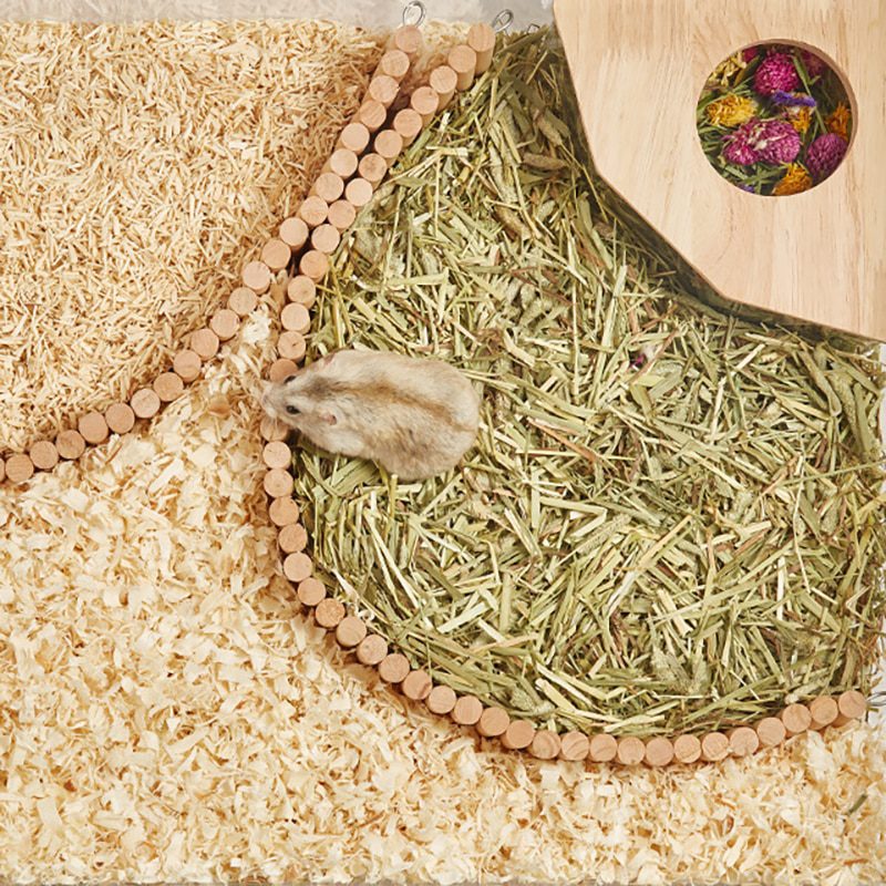 Hamster-Bathroom-House-Sandbox-Full-Transparent-Urine-Sand-Basin-Golden-Bear-Supplies-Sand-Bath-Container-Hamster-4