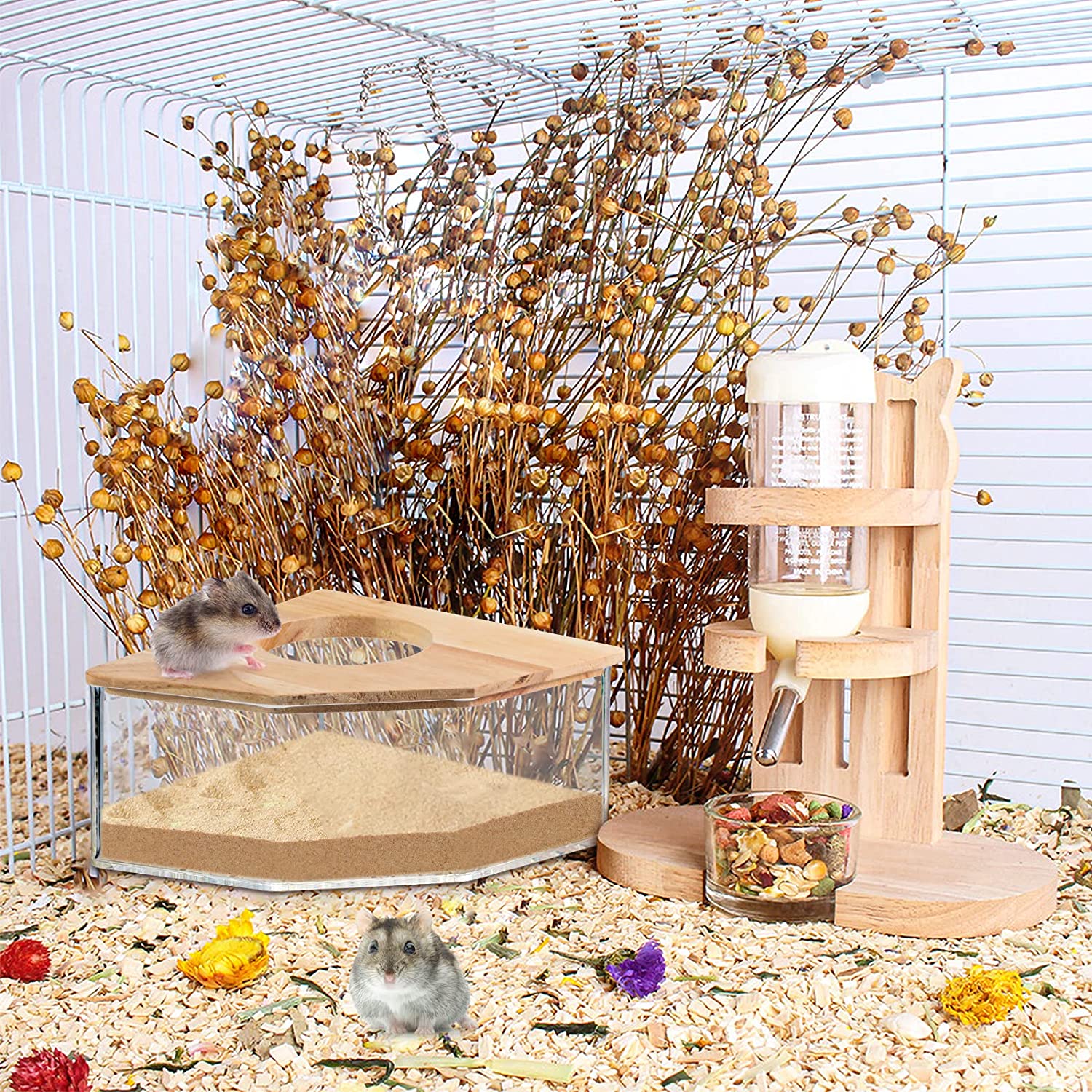 Hamster-Bathroom-House-Sandbox-Full-Transparent-Urine-Sand-Basin-Golden-Bear-Supplies-Sand-Bath-Container-Hamster-5