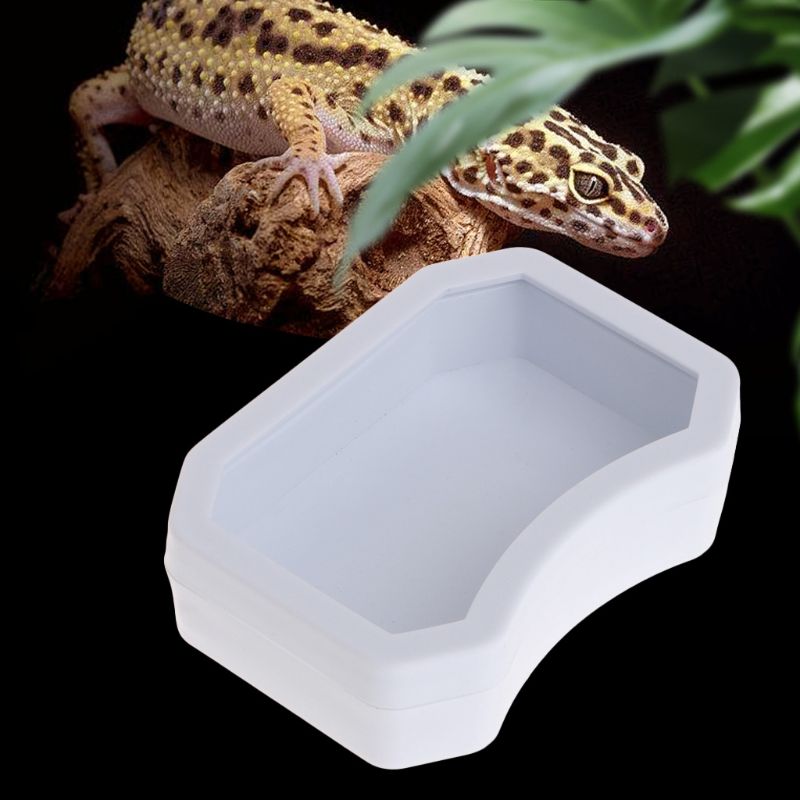 Reptile-Feeder-Water-Food-Feeding-Plastic-Bowl-3-Size-Turtle-Lizard-Snake-Basin-4