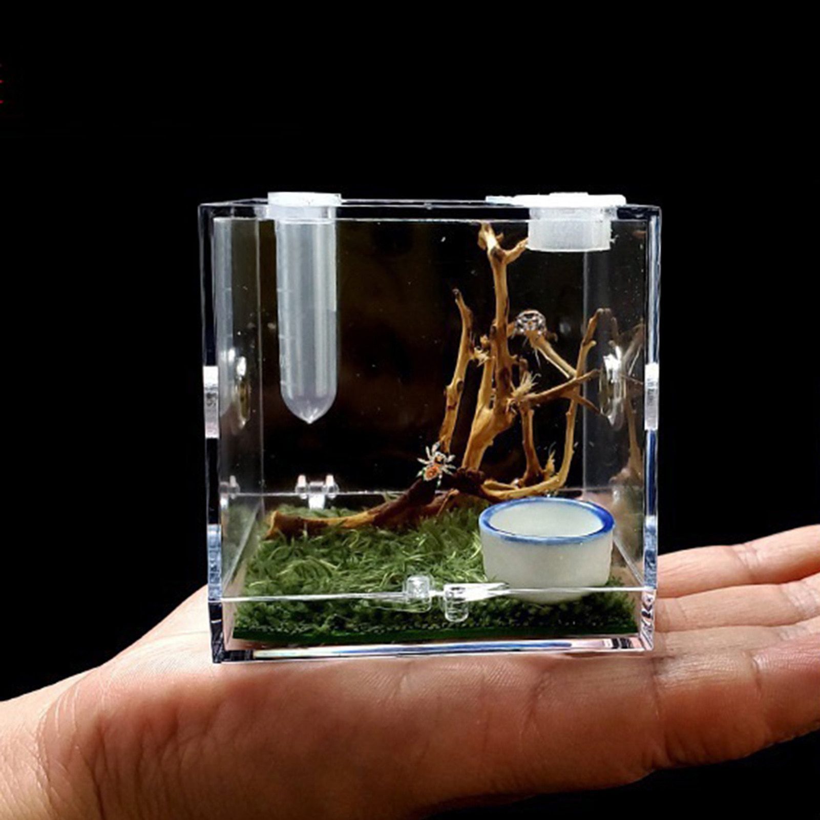 Small-Reptiles-Breeding-Box-Clear-Acrylic-Cage-Habitat-Insect-Feeding-Box-Terrarium-Tank-Escape-Proof-For